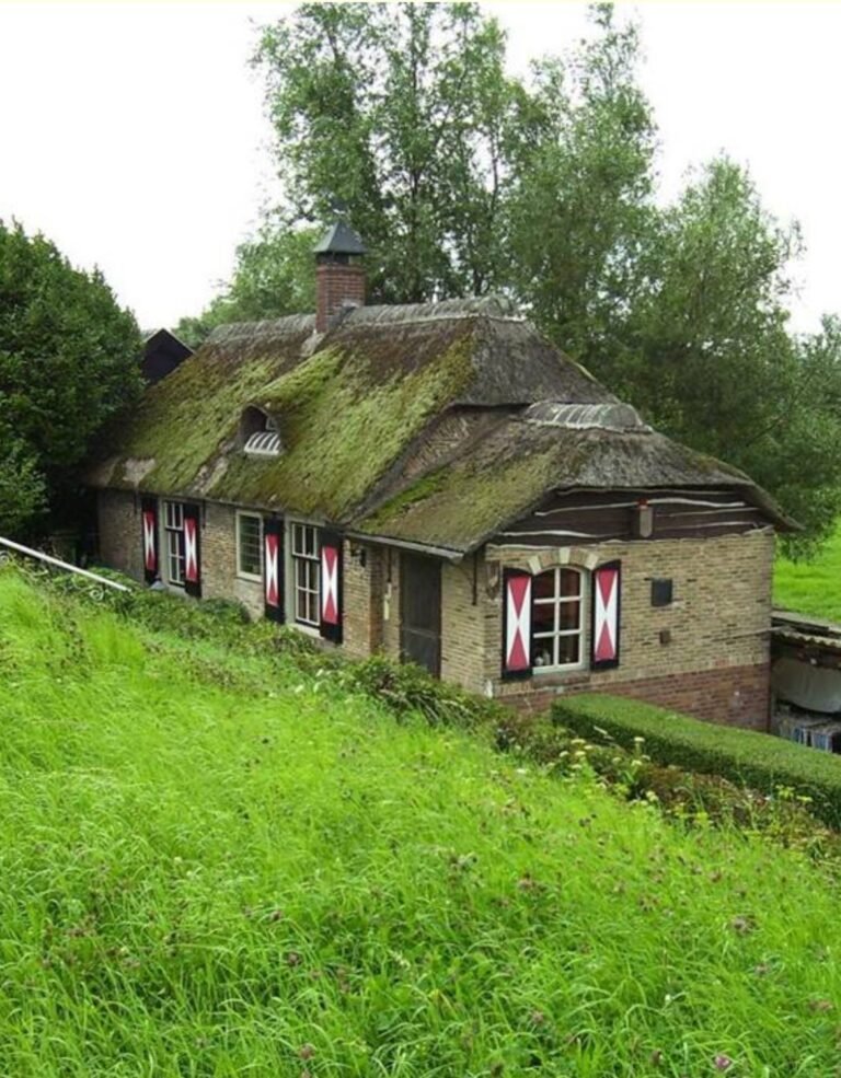 De dijkwoning vóór de verbouwing