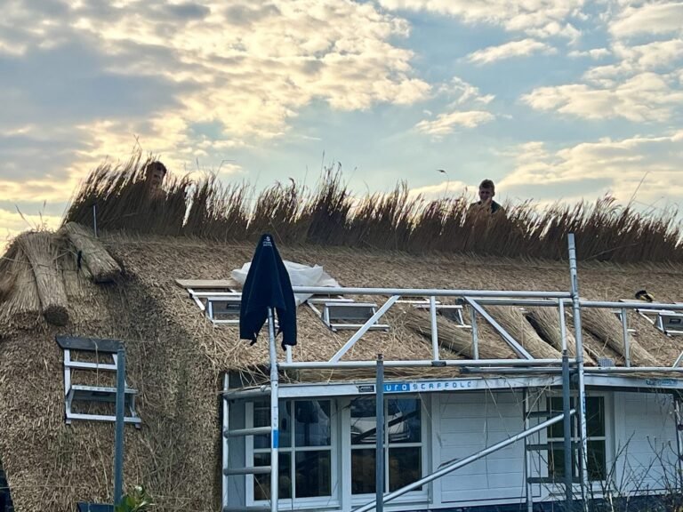 Nieuw riet op het dak